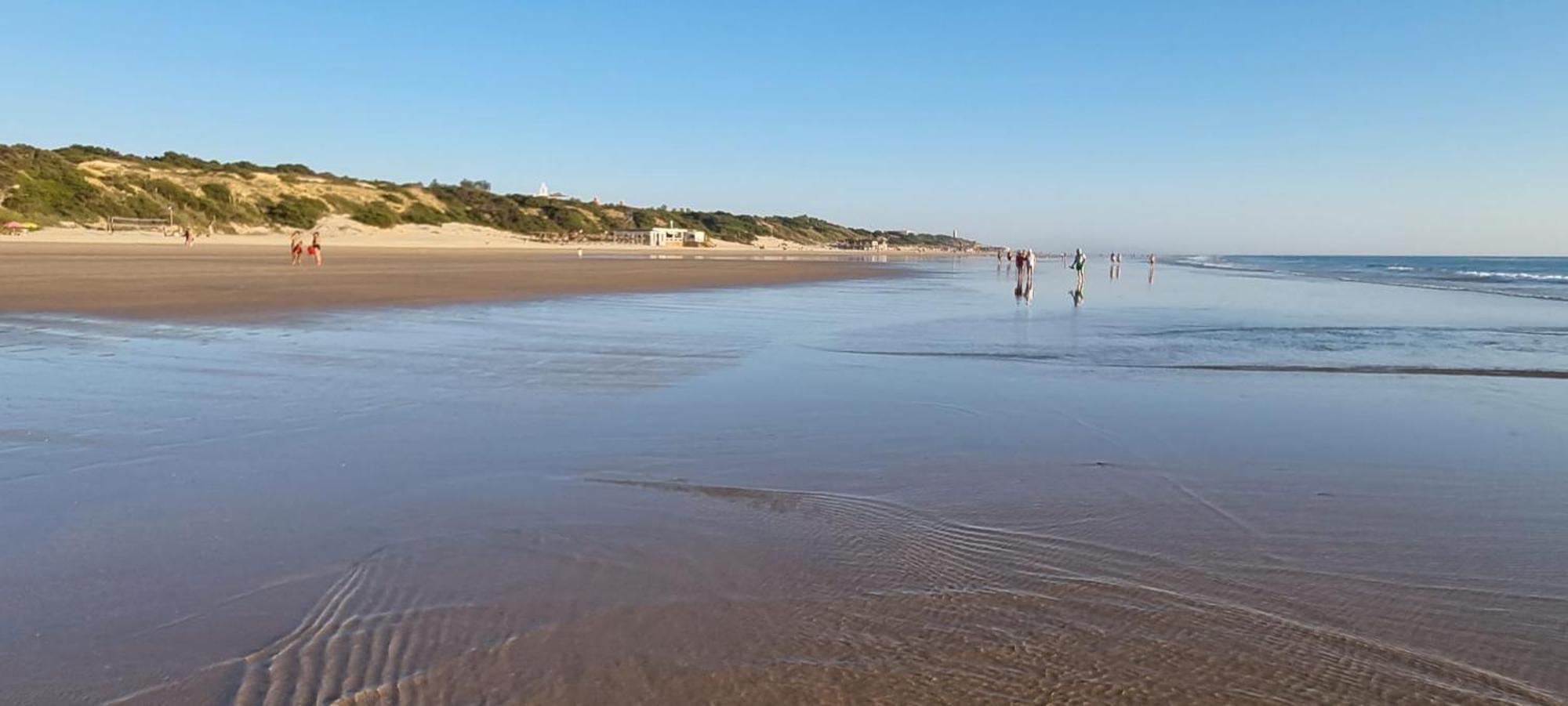 Novo Sancti Petri, Con Piscina Todo El Ano, La Mariposa By Chiclana Dreams Daire Chiclana de la Frontera Dış mekan fotoğraf